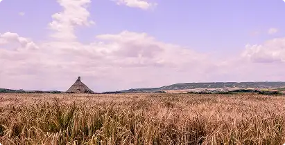 World History Standards